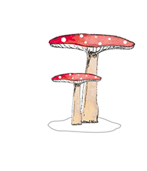 North Pole Gnomes Mushroom